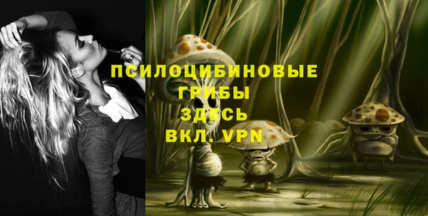 хмурый Алексеевка