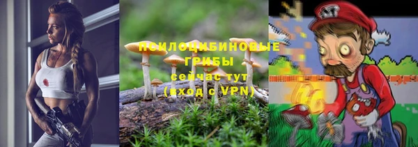 спиды Аркадак