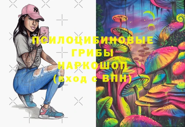 прущая мука Арсеньев