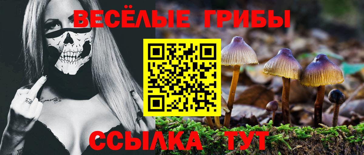 НБОМе Беслан