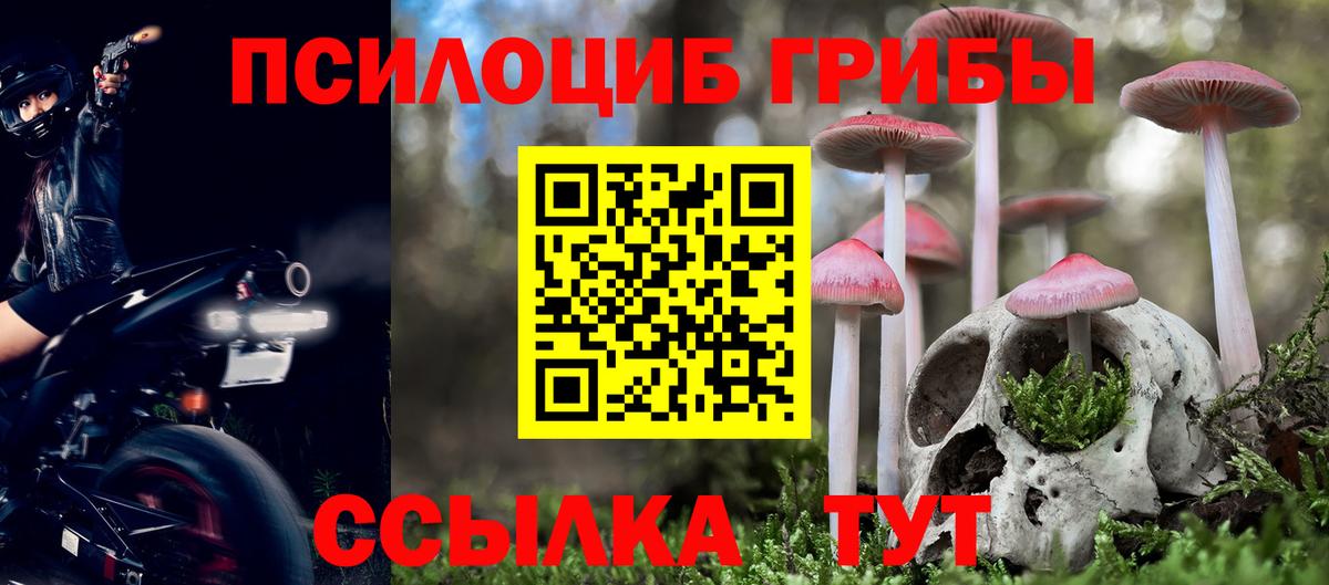 Беслан  цены наркотик  Вход с VPN  Галлюциногенные грибы GOLDEN TEACHER  Галлюциногенные грибы прущие грибы 
